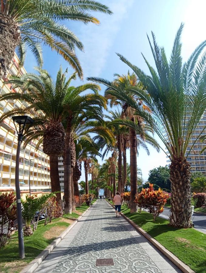 Paraiso San Telmo Пуерто-де-ла-Крус Екстер'єр фото